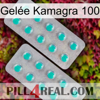 Gelée Kamagra 100 29